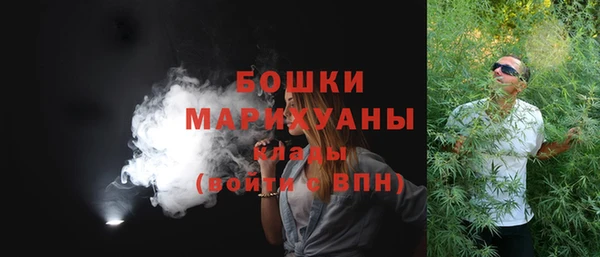 прущие грибы Баксан