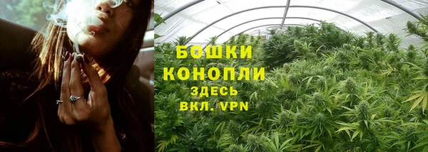 прущие грибы Баксан