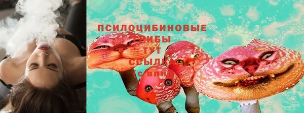 прущие грибы Баксан